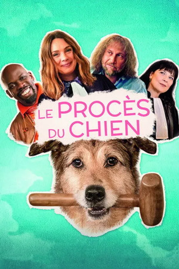 Bị Cáo Một Chú Chó